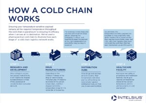 Pharmaceutical cold chain freight in temperature-controlled insulated packaging prepared for Elite Logistics LLC refrigerated transport with real-time IoT temperature monitoring"