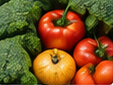 Close-up of fresh red and yellow tomatoes with green broccoli ready for refrigerated produce trucking with Elite Logistics