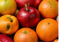 Close-up of fresh oranges and red apples ready for refrigerated produce trucking with Elite Logistics